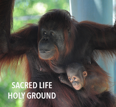 Sacred Life Holy Ground